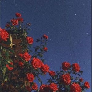 Meet your Posher, Kyla